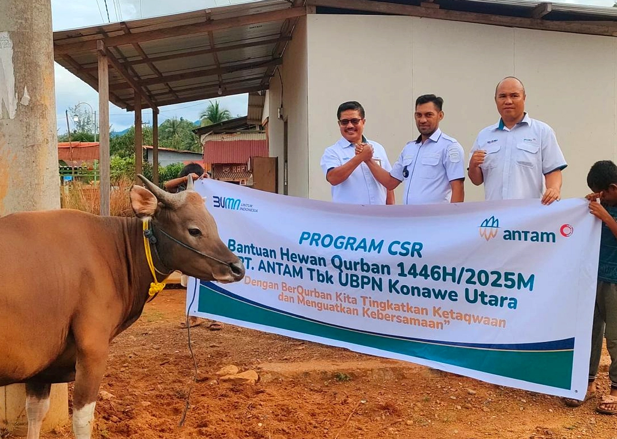 Cek Lembaga Kurban Digital: Pastikan Dana Tersalurkan Aman