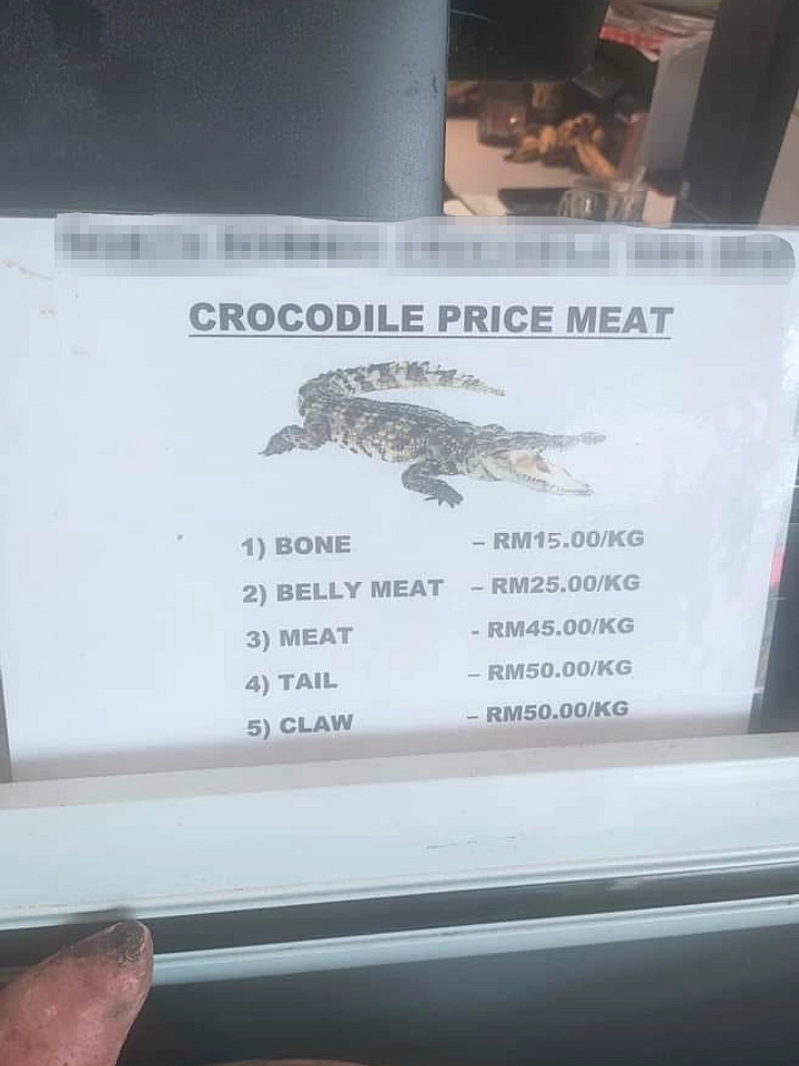 Ceviche buaya di Instagram memicu kontroversi kesehatan