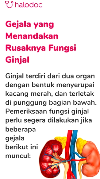CKD, Penyakit Diam: Wanita Perlu Waspada Gejala Awal