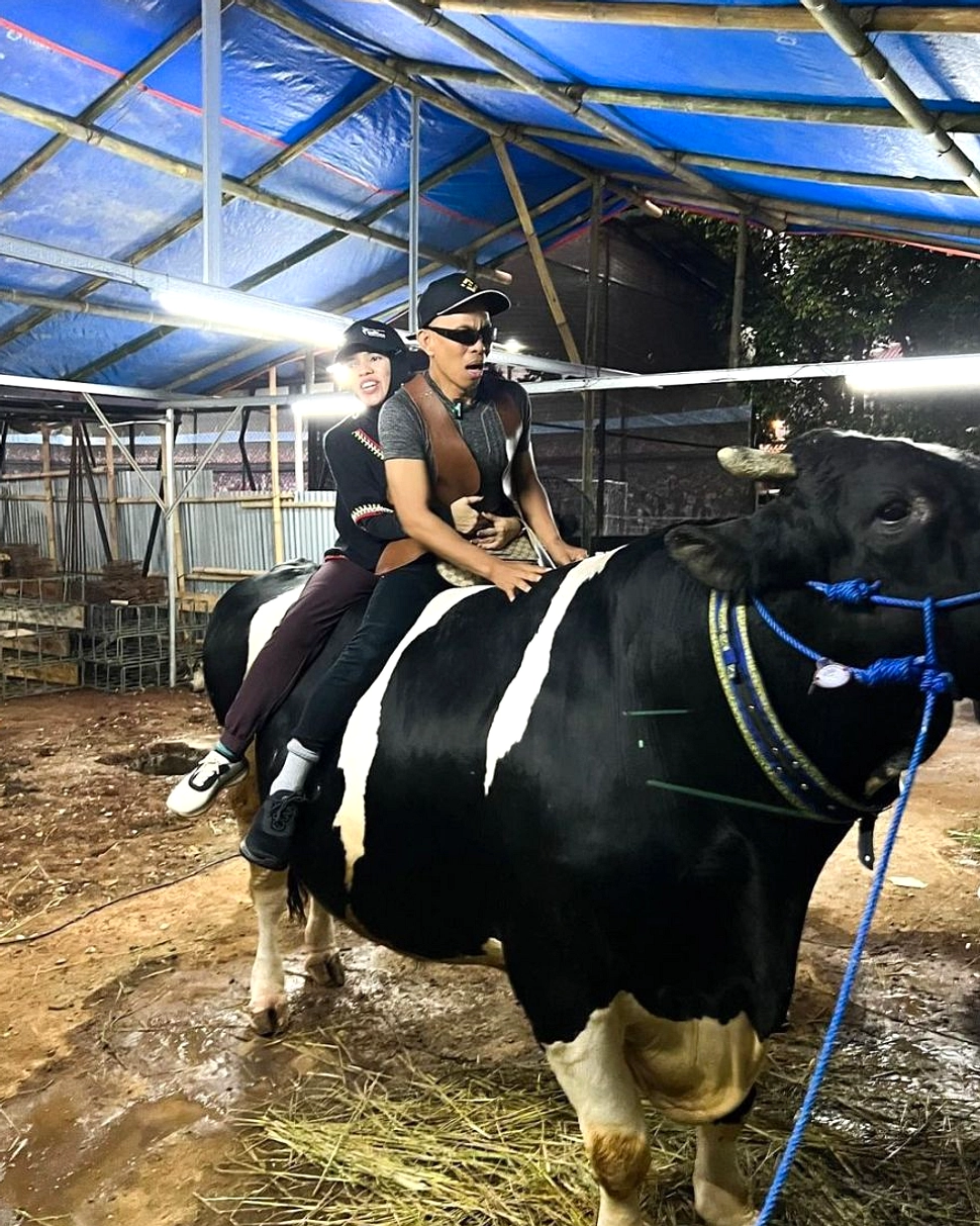 Coba Ternak, Bumi, Tertawa: Cara Sederhana Turunkan Stres
