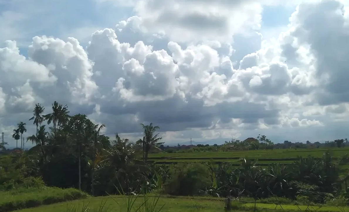 Cuaca Berawan Surabaya: Suhu 24‑31°C, Kelembapan Tinggi
