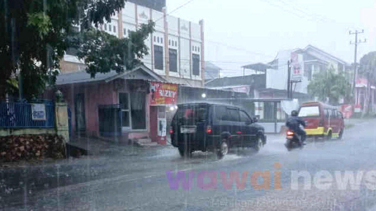 Cuaca Bulan Juni: Hujan Ringan & Kabut di Lampung Penting