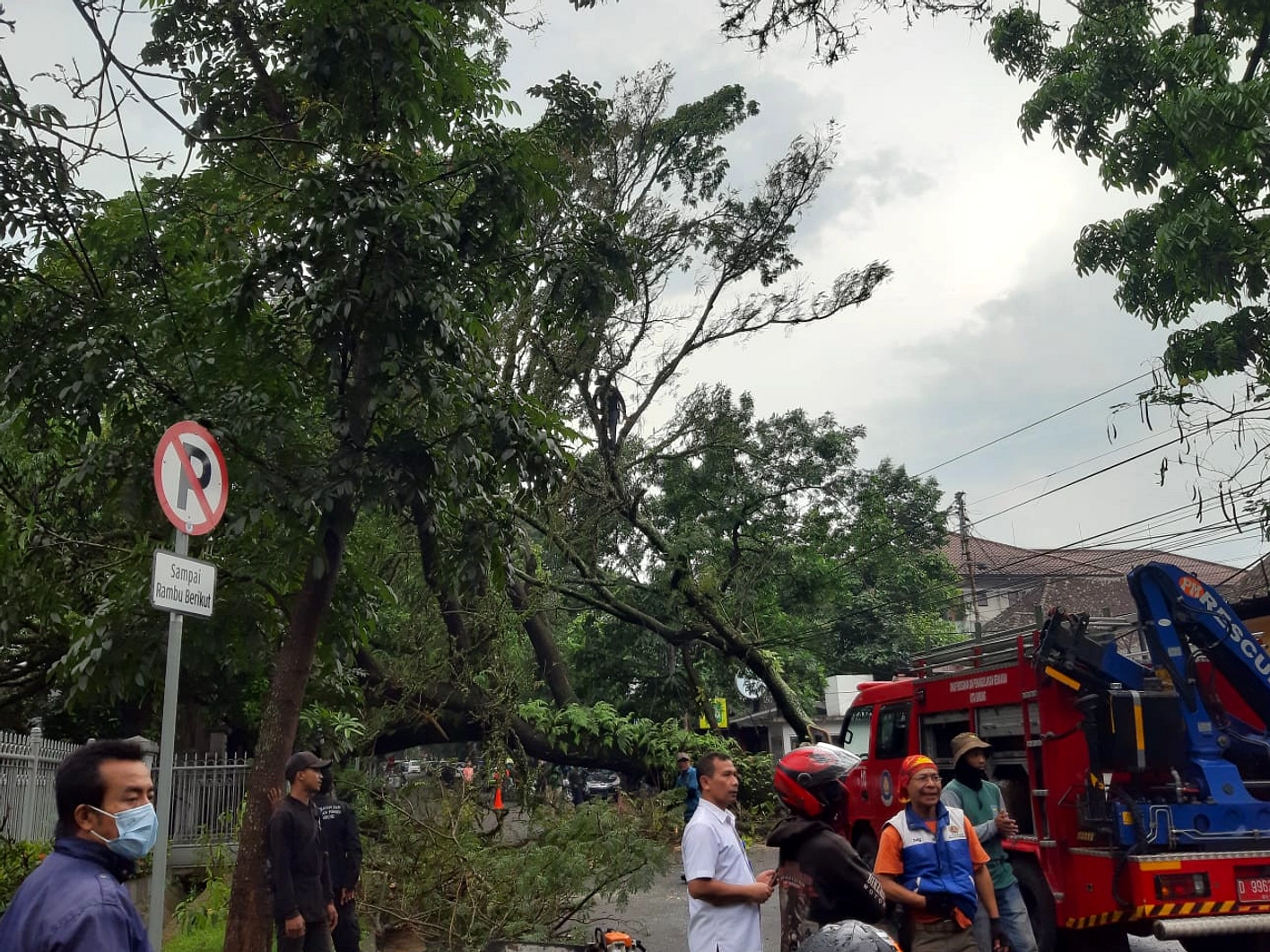 Cuaca ekstrem Bandung: 23 pohon tumbang mengganggu lintas