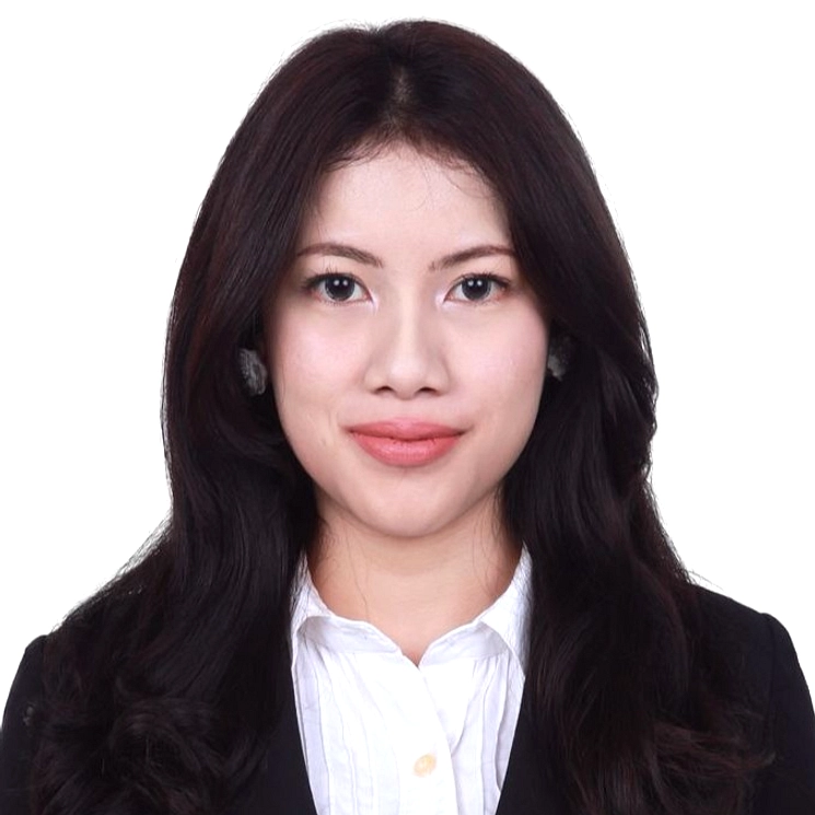 Danantara Luncurkan DSI, Deteksi Under-Invoicing Online