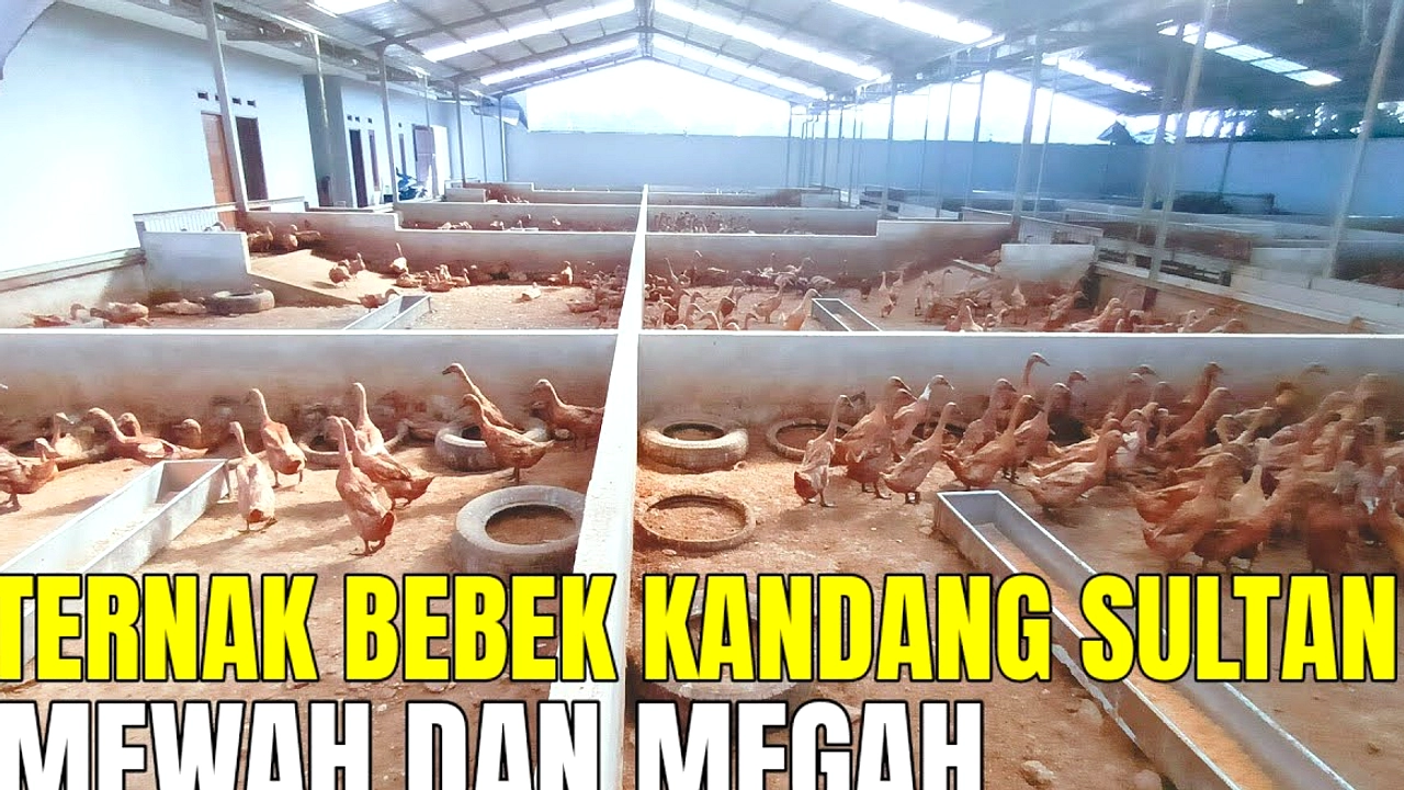 Dari Miskin Hingga Naik Maserati: Kisah Sukses Pria China di Bisnis Foie Gras