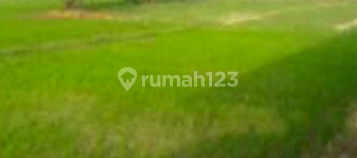Deli Serdang Siap Bangun Area UMKM di Pantai Sungai MAN