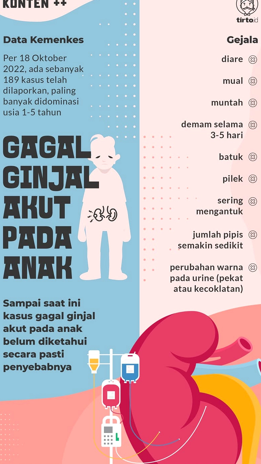 Diet Jus Ekstrem 3 Bulan, Ginjal Ibu Rumah Tangga Rusak