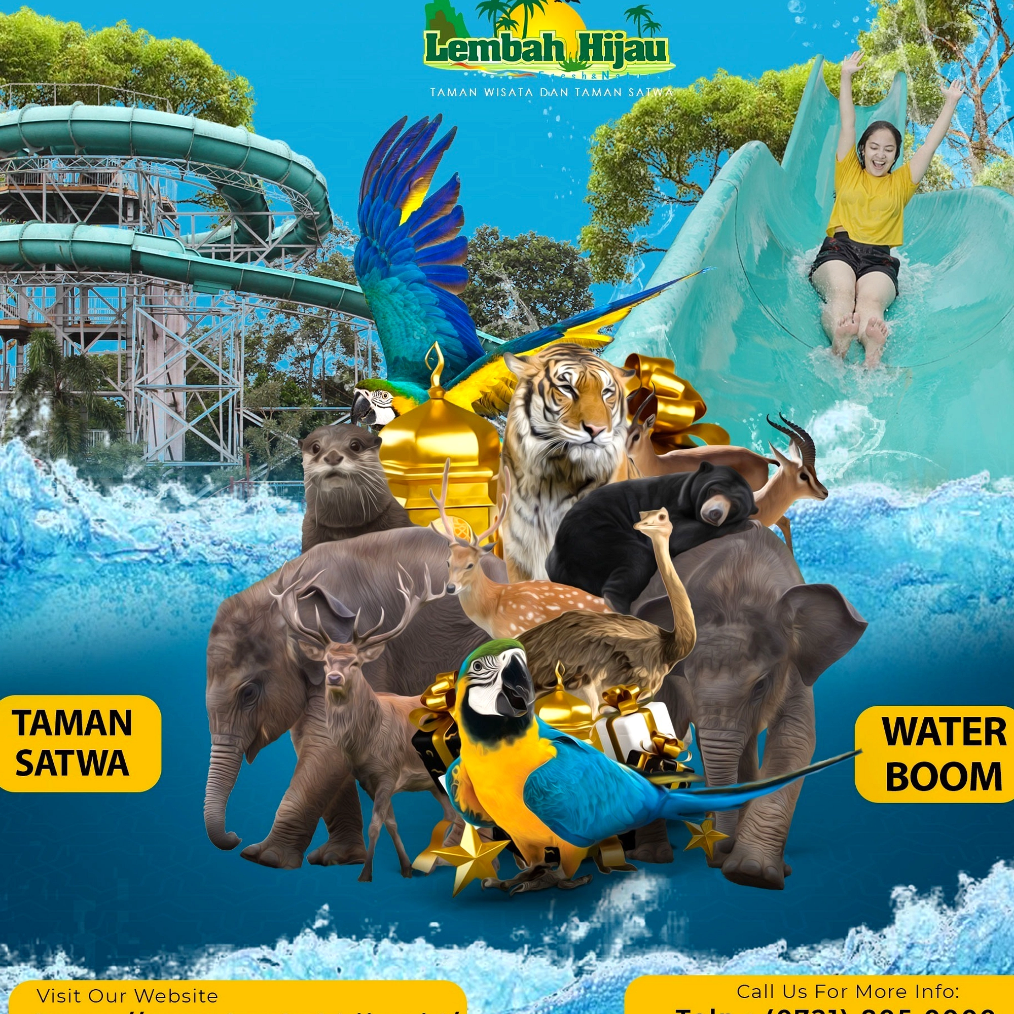 Dua Harimau Sumatra Lahir di Taman Satwa Lembah Hijau