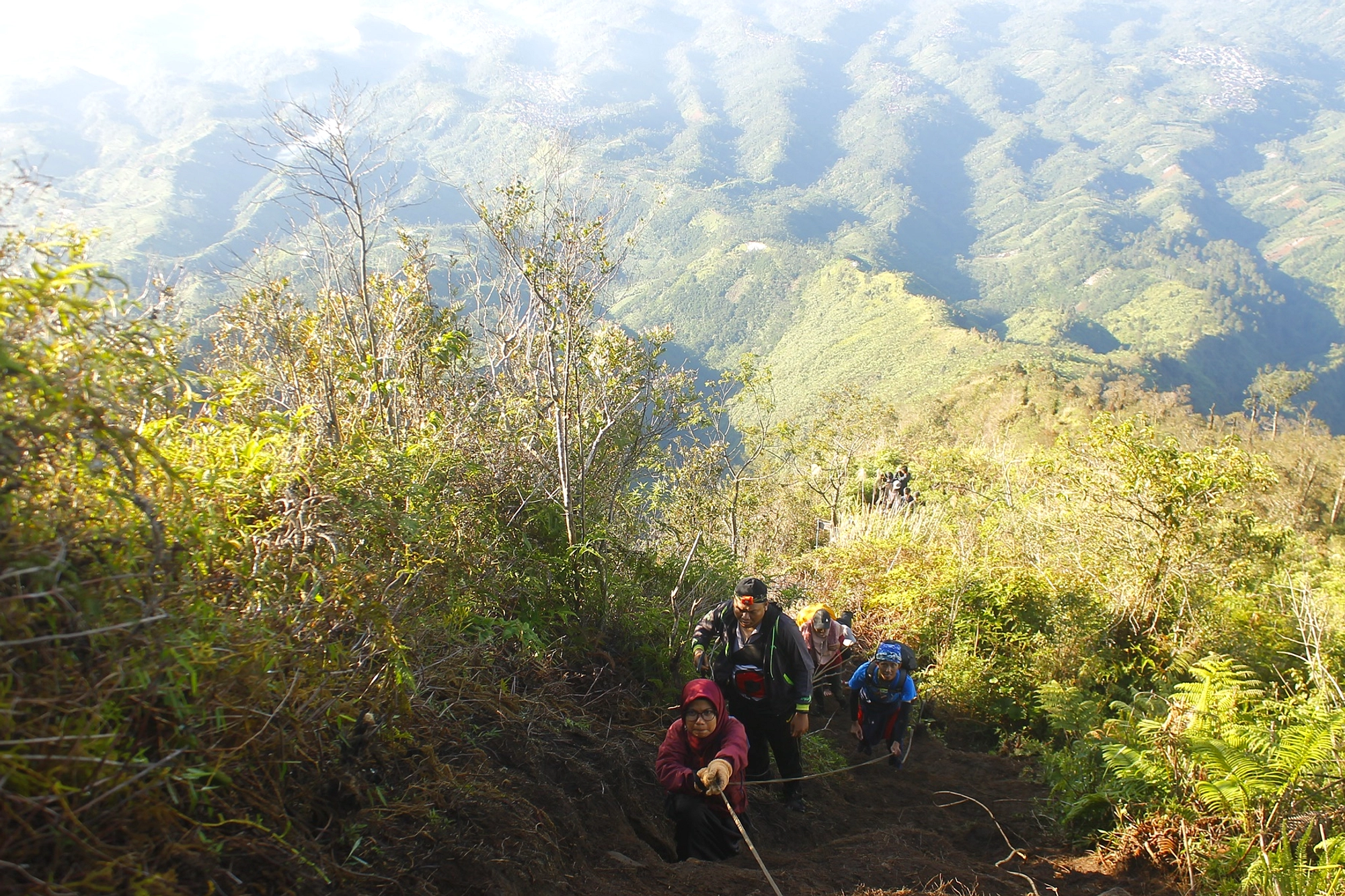 Dua Remaja Wonosobo Ditemukan Tewas di Gunung Bismo