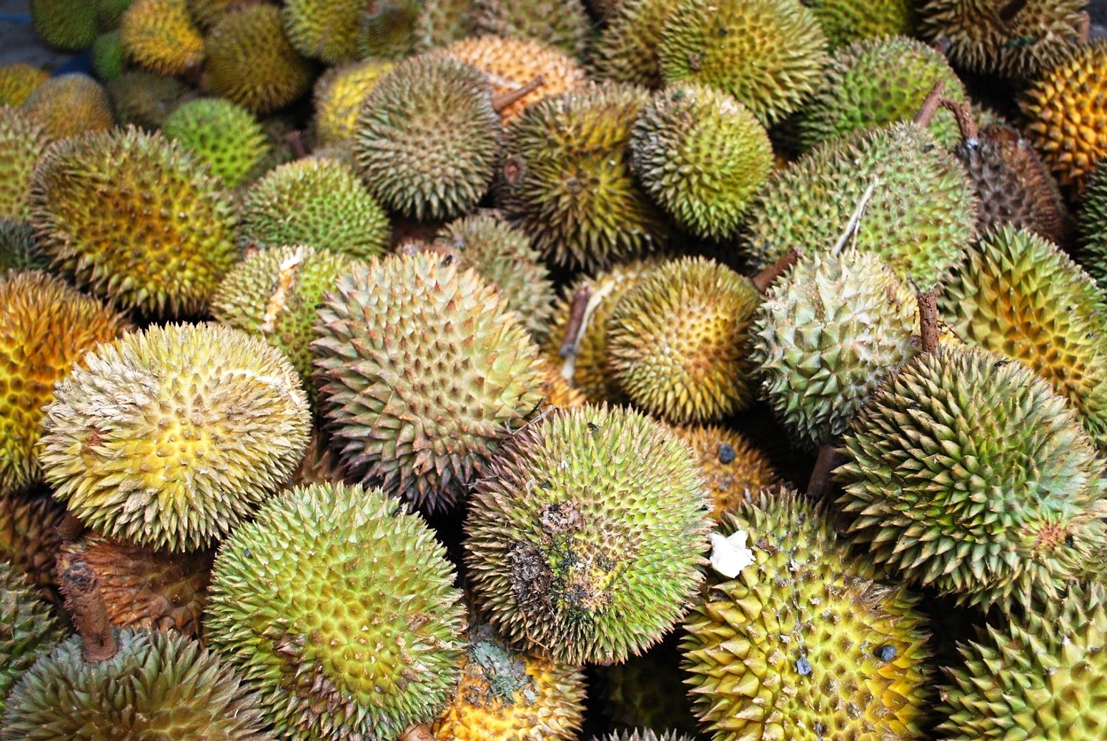 Durian jatuh di Lorong Lew Lian, 30 buah pemandangan unik