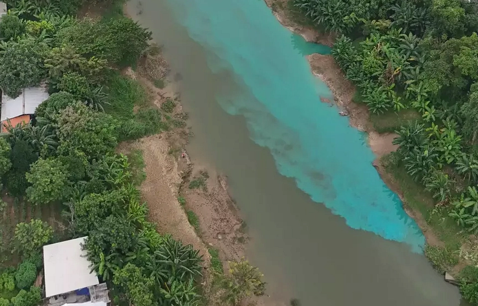Eceng Gondok Tutup Sungai Citarum, Nelayan Terhambat