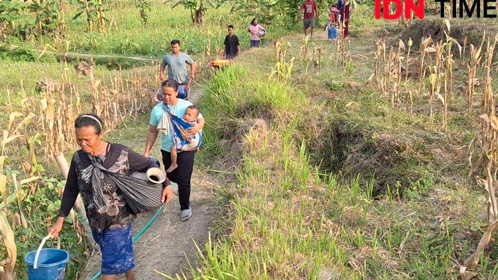 El Nino 2026 Diprediksi Terkuat Sejarah, Peringatan Global