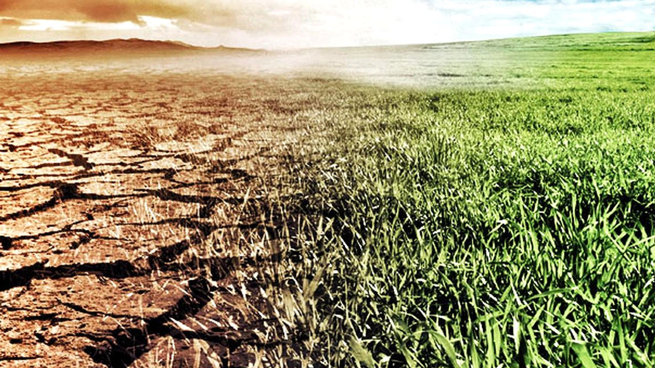 El Nino Diprediksi Pangkas PDB Afrika hingga US$20 Miliar