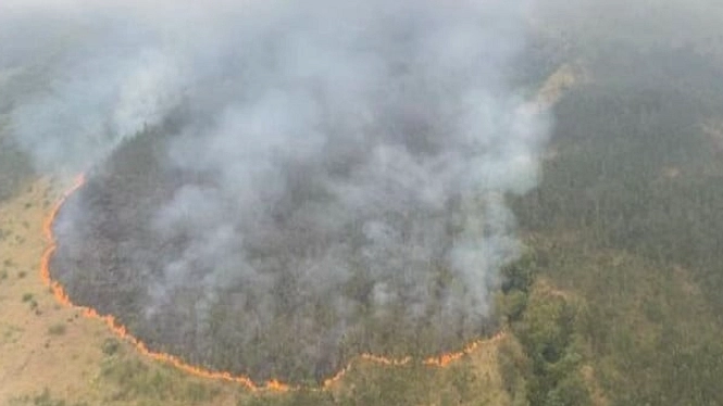 Empat Regu Dikerahkan Padamkan Kebakaran Hutan Gunung Biru