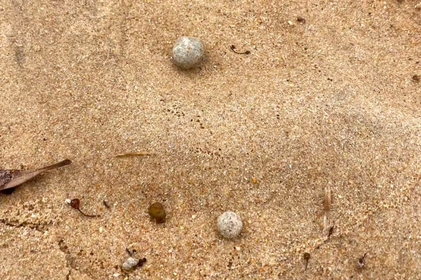 Enam Bola Logam Misterius Ditemukan di Pantai Terpencil Australia