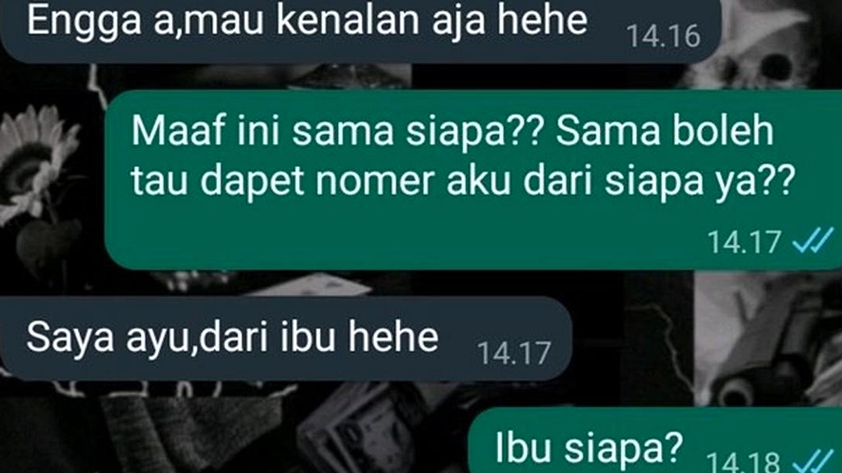 Fabiola Pimpin Scam Internasional dengan Video Call Online