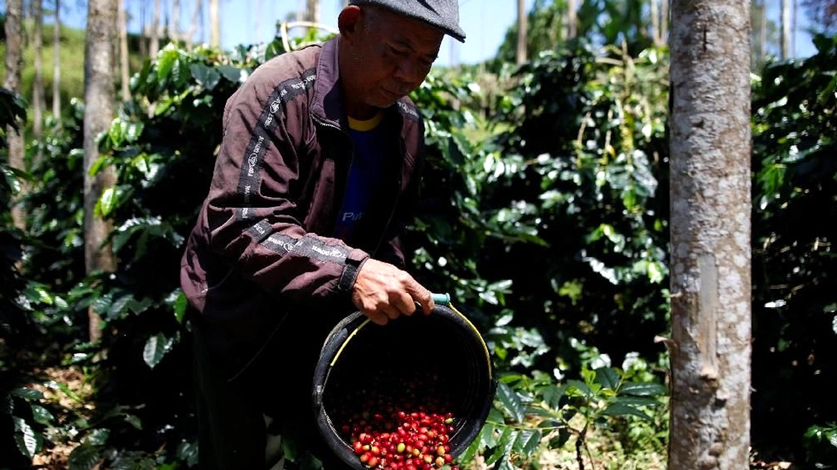 Finlandia Kembali Jadi Negara Peminum Kopi Terbanyak di Dunia