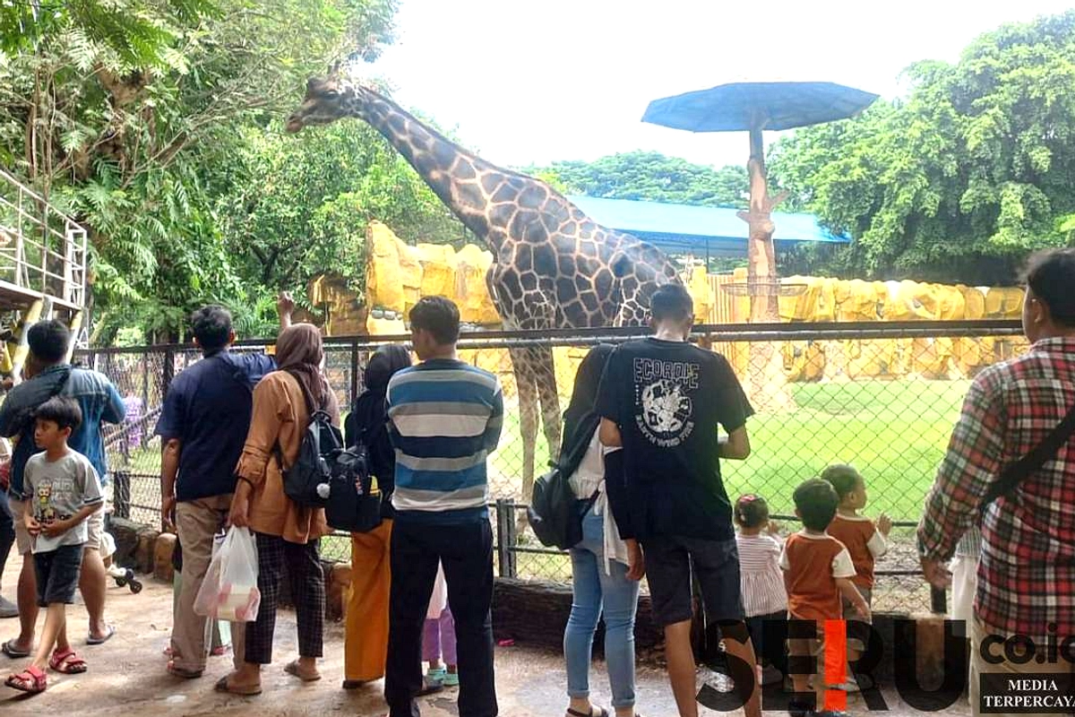 Fotografer KBS Uut: Siap Abadikan Momen Murah, Harga Terjangkau
