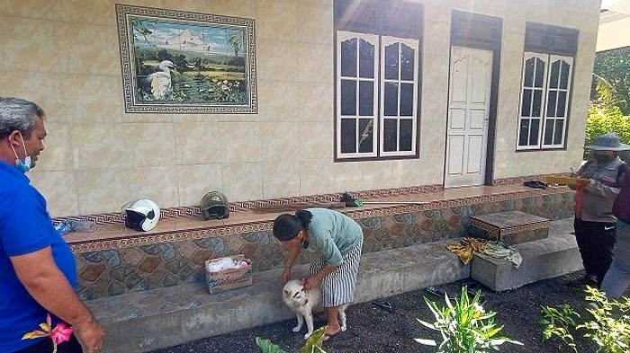 Gebyar Vaksin Rabies 2026 Tembus 80% Anjing di Jembrana