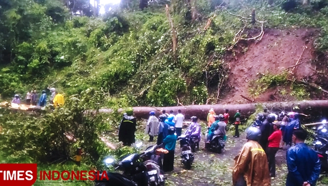 Gempa 5,1 di Jember dirasakan hingga Banyuwangi