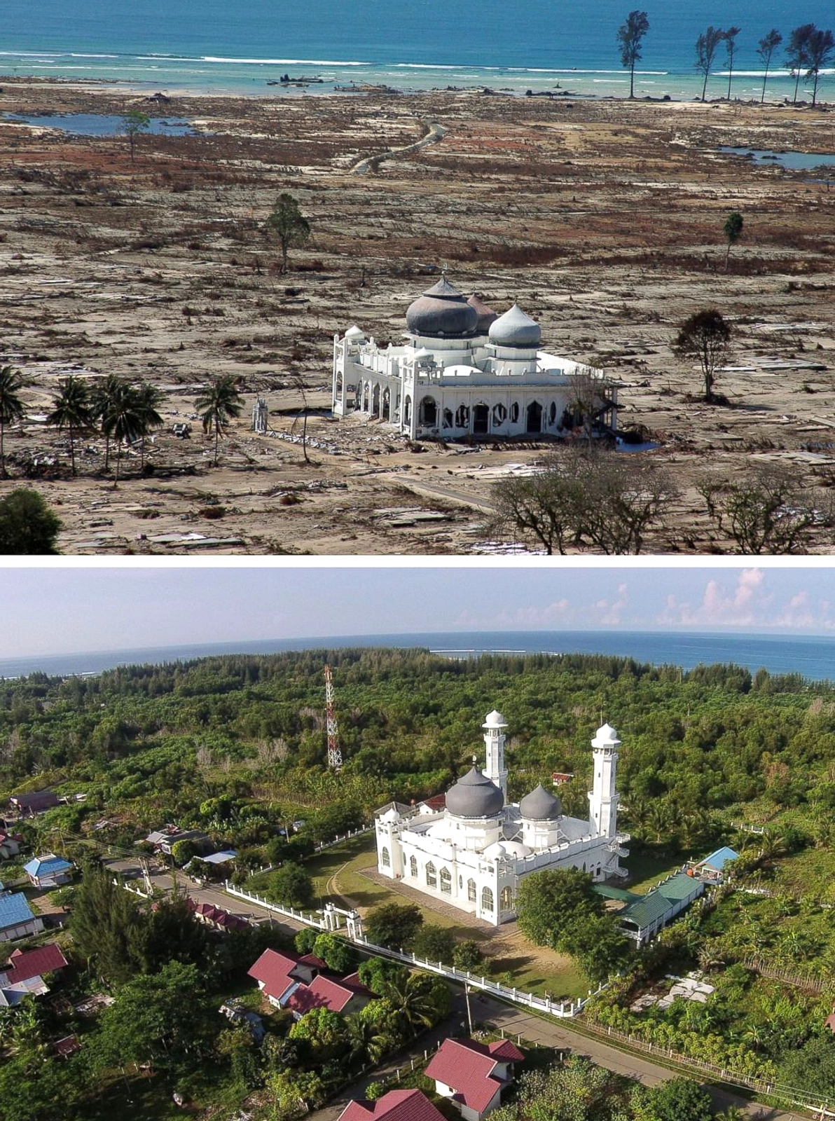 Gempa 7,7 di Mindanao: Tsunami Terdeteksi di 9 Wilayah