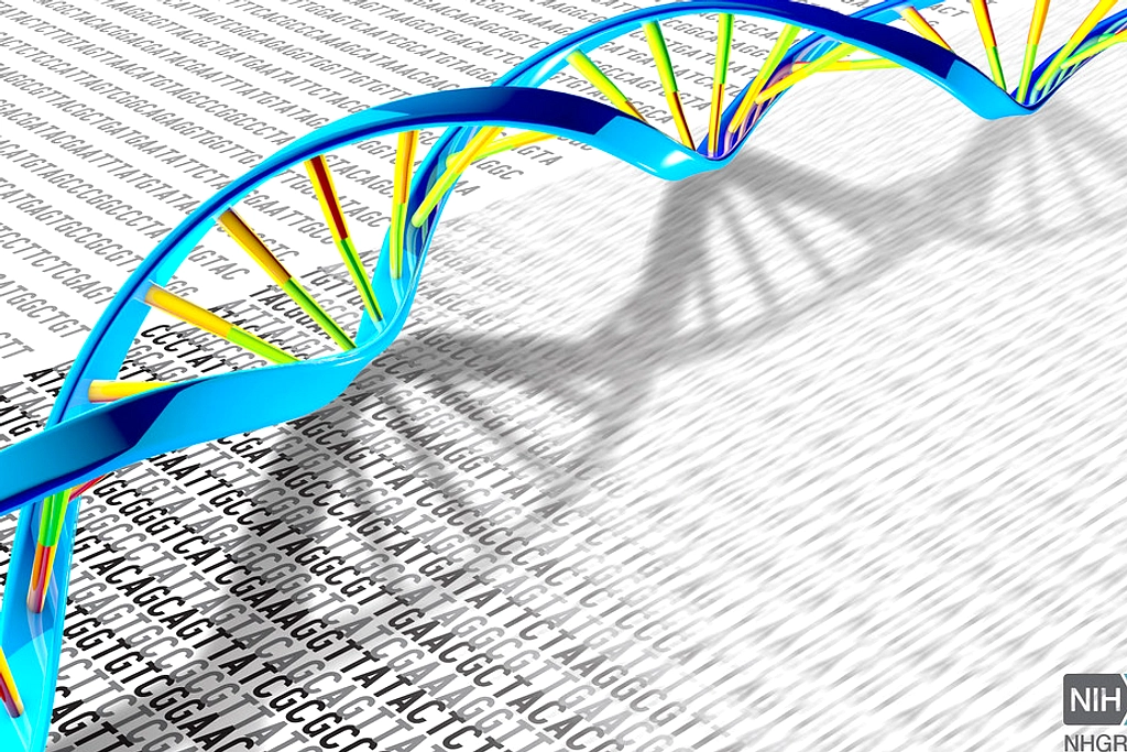 Genetika DNA: Cara DNA Membentuk Kesehatan dan Risiko Penyakit