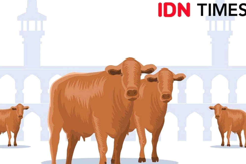 Gerindra Siapkan 18 Lembu & 6 Kambing, Bagikan ke Warga Medan