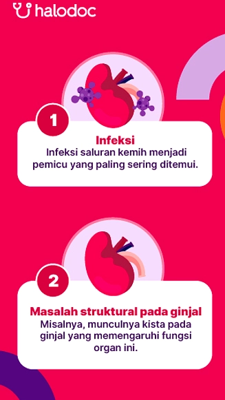 Ginjal Rusak di Kalangan Muda: Protein & Suplemen Berbahaya