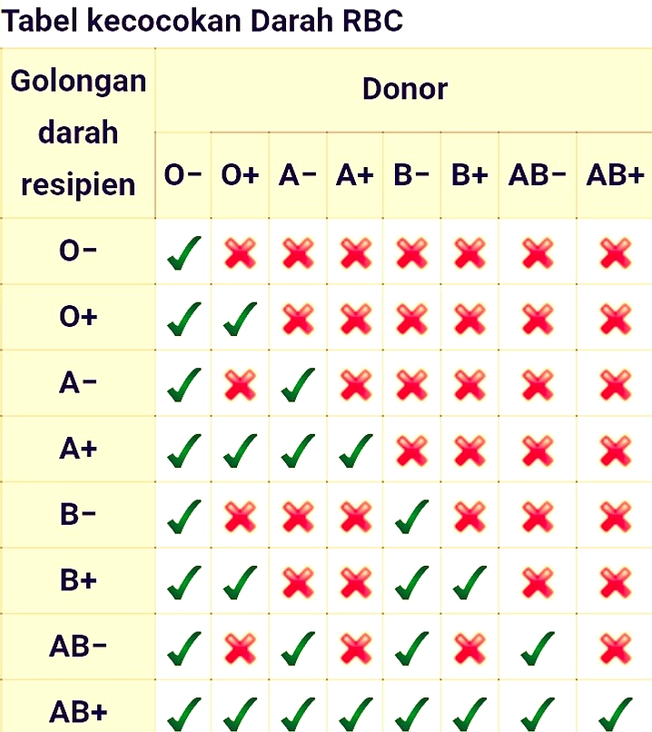 Golongan Darah O Lebih Awet: Antibodi & Gumpalan Rendah