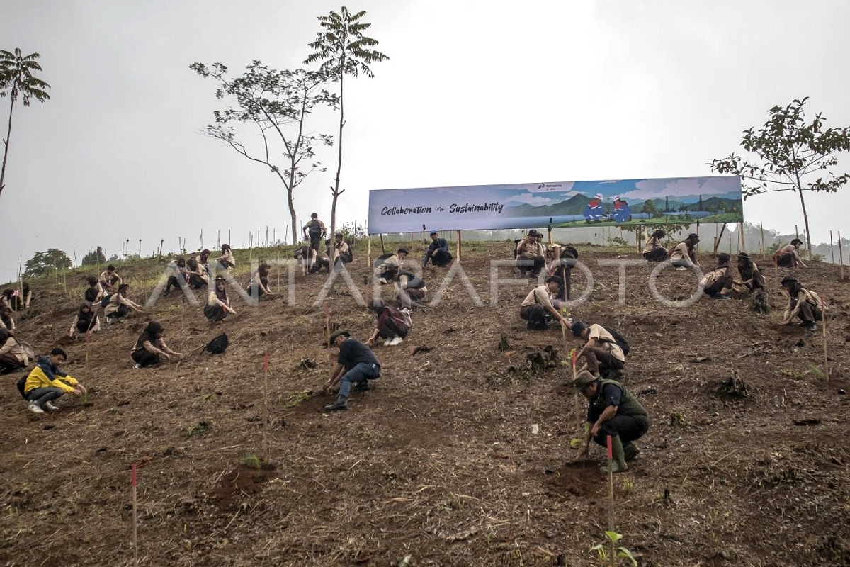 Gubernur Barat Ubah Kebun Sayur Jadi Pohon di Cianjur