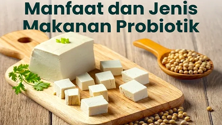 Gula dalam Probiotik: Kunci Fermentasi dan Risiko Gizi