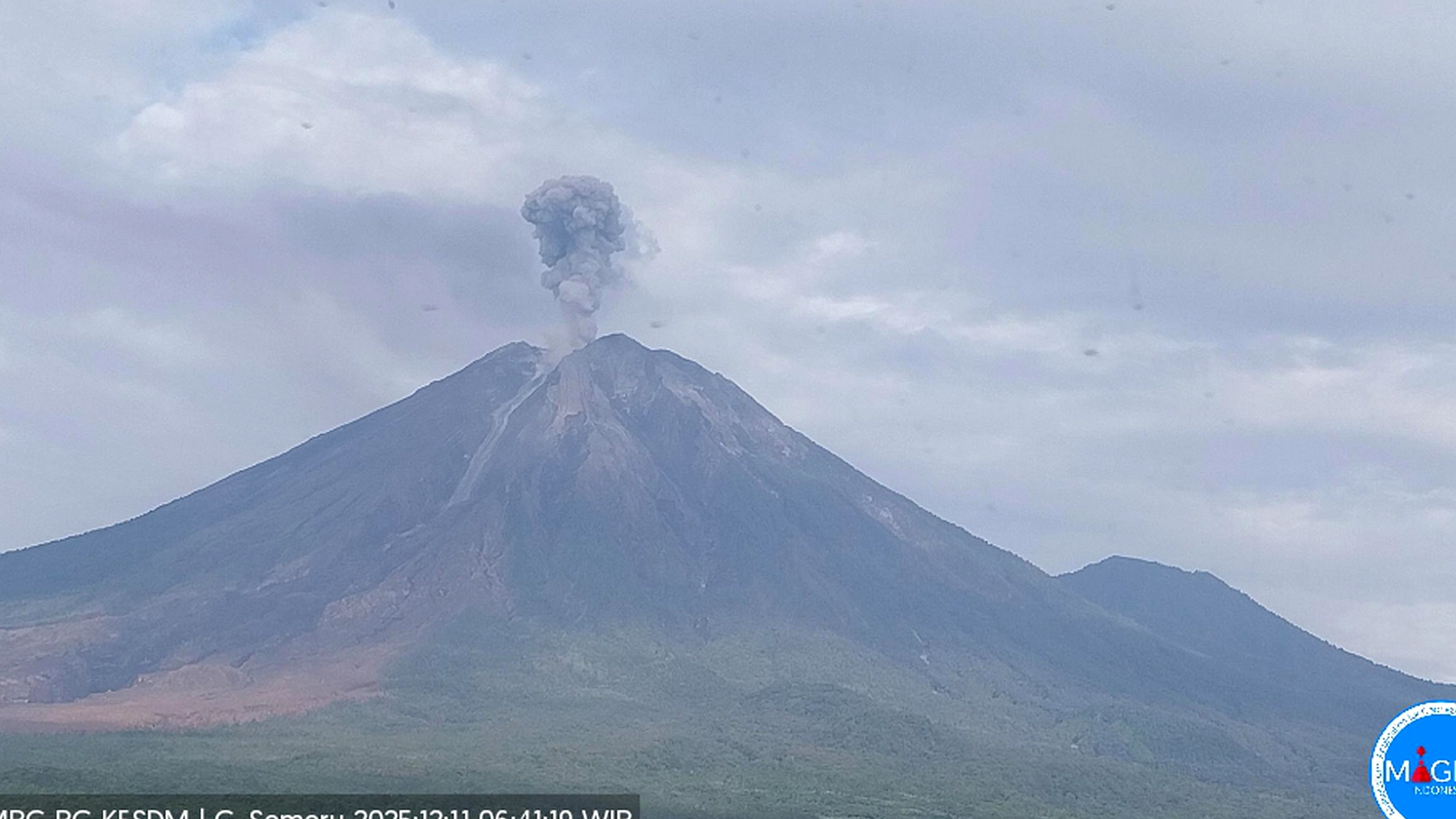 Gunung Semeru Terbakar, Kolom Abu 1.200 m Teramati Pagi
