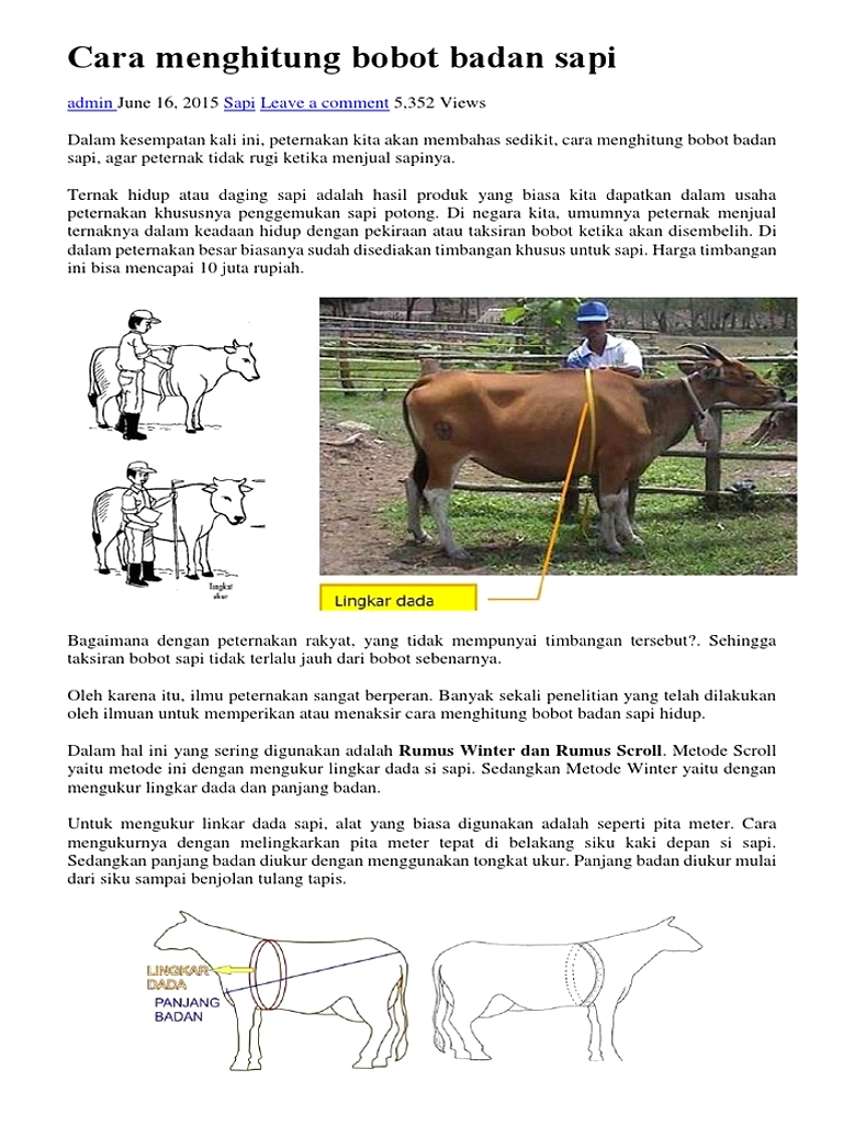 HAP Bobot Sapi Naik Rp59k, Harga Daging Tetap Stabil