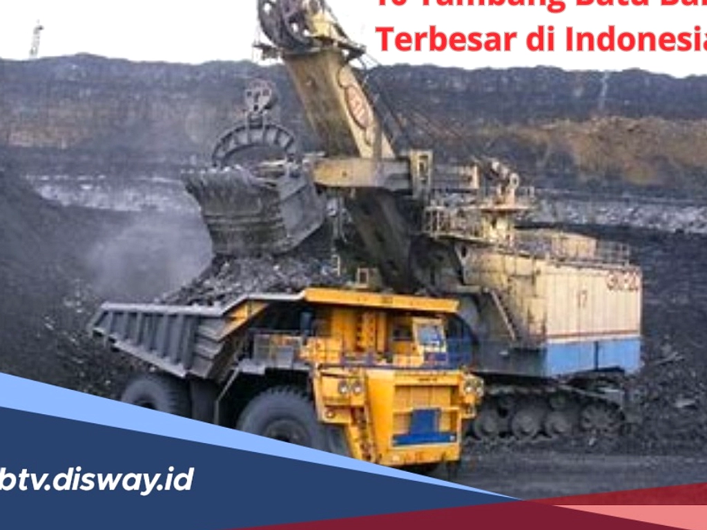 Harga Batu Bara Juli 2026 Naik di Sebagian Besar Kategori