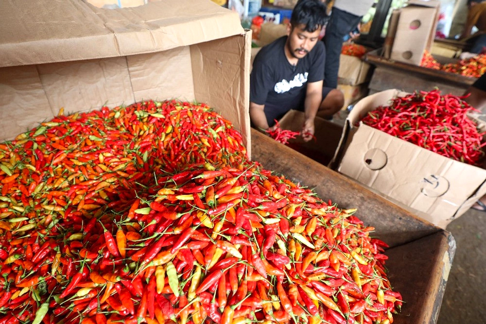 Harga Cabai Melonjak Ribu-Ribu Rupiah di Jakarta Idul Adha