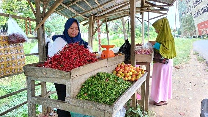 Harga Cabai Merah Keriting Binjai Naik Jadi Rp 30.000/kg