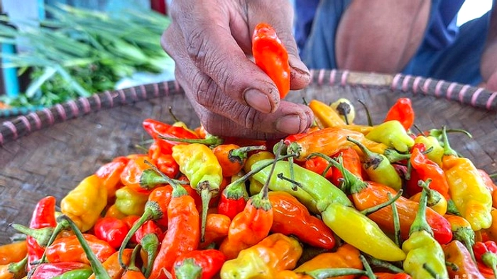 Harga Cabai Merah Melonjak 6,9% di Awal Agustus