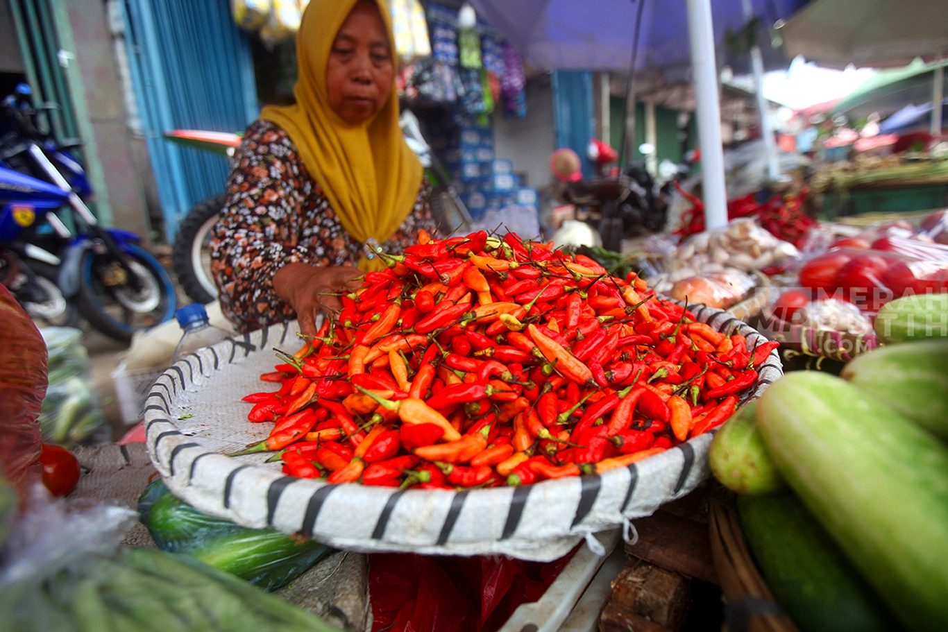 Harga Cabai Meroket 9,42% di Pekan Ini