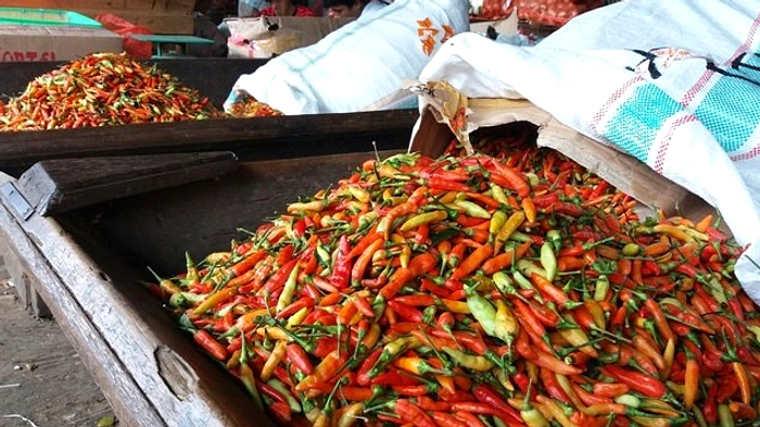 Harga Pangan Minggu 21 Juni: Beras & Bawang Putih Naik, Cabai Turun