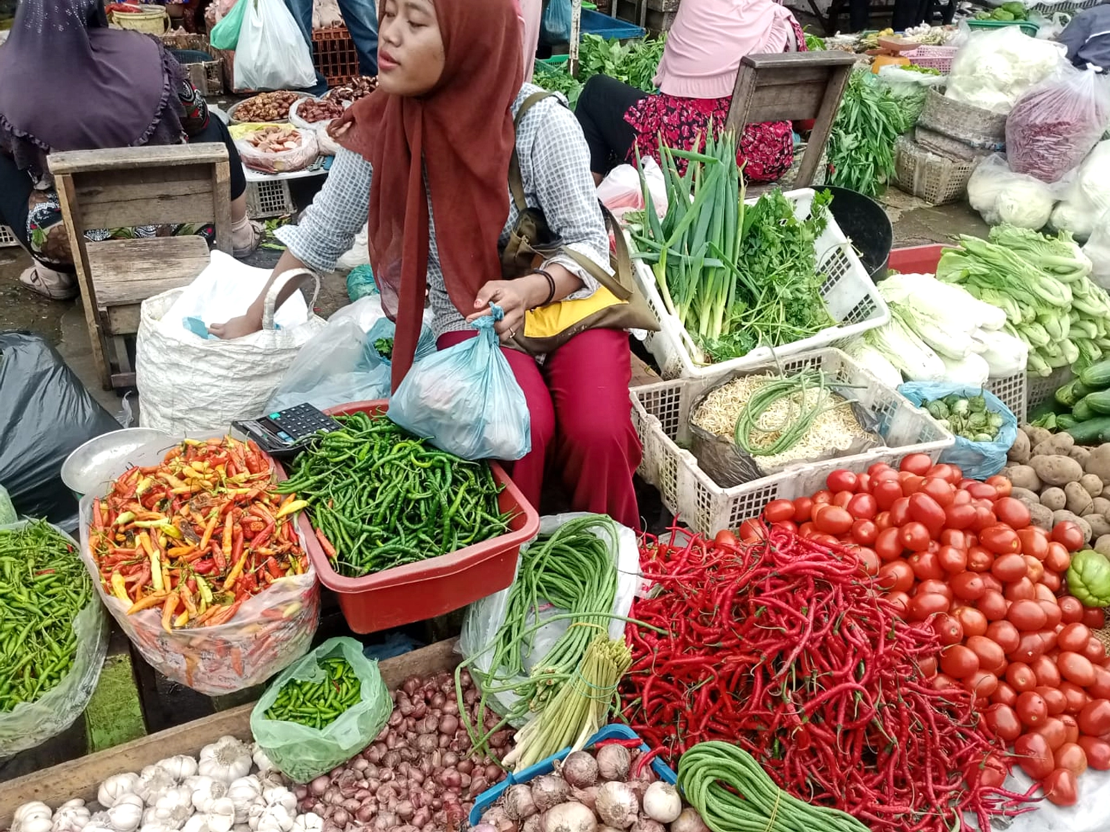 Harga Telur dan Ayam di Palembang Mulai Naik