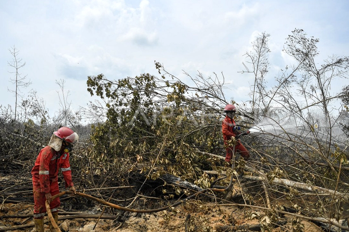 Hari Ketiga, Api Gambut 6 Hektare di OKI Belum Padam