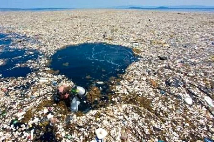 Hari Laut & Coral Triangle 2026: Fokus Sampah Darat