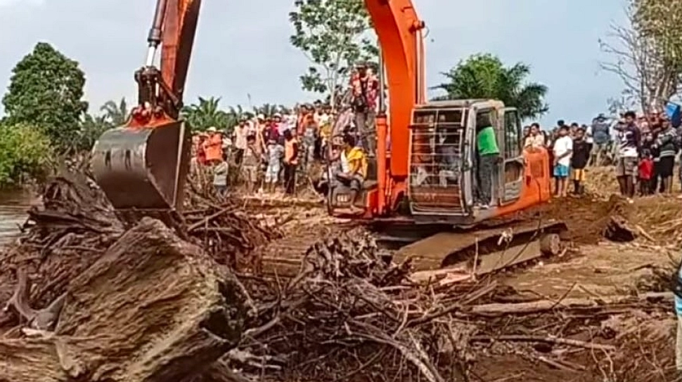 Harimau Sumatera Mati di Sungai, BKSDA Tinjau Penyebab