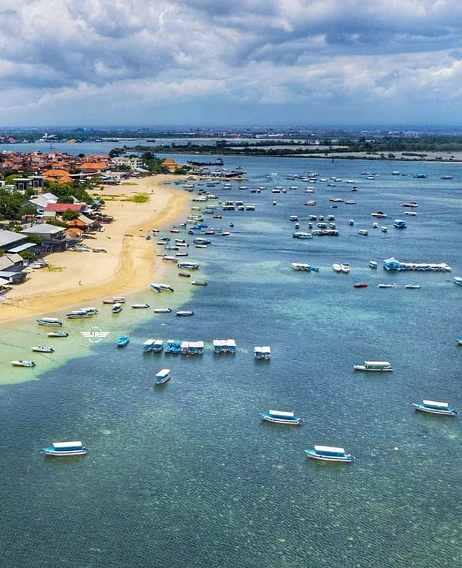 Hiu di Pantai Nusa Dua: Indikator Kesehatan Laut Bali