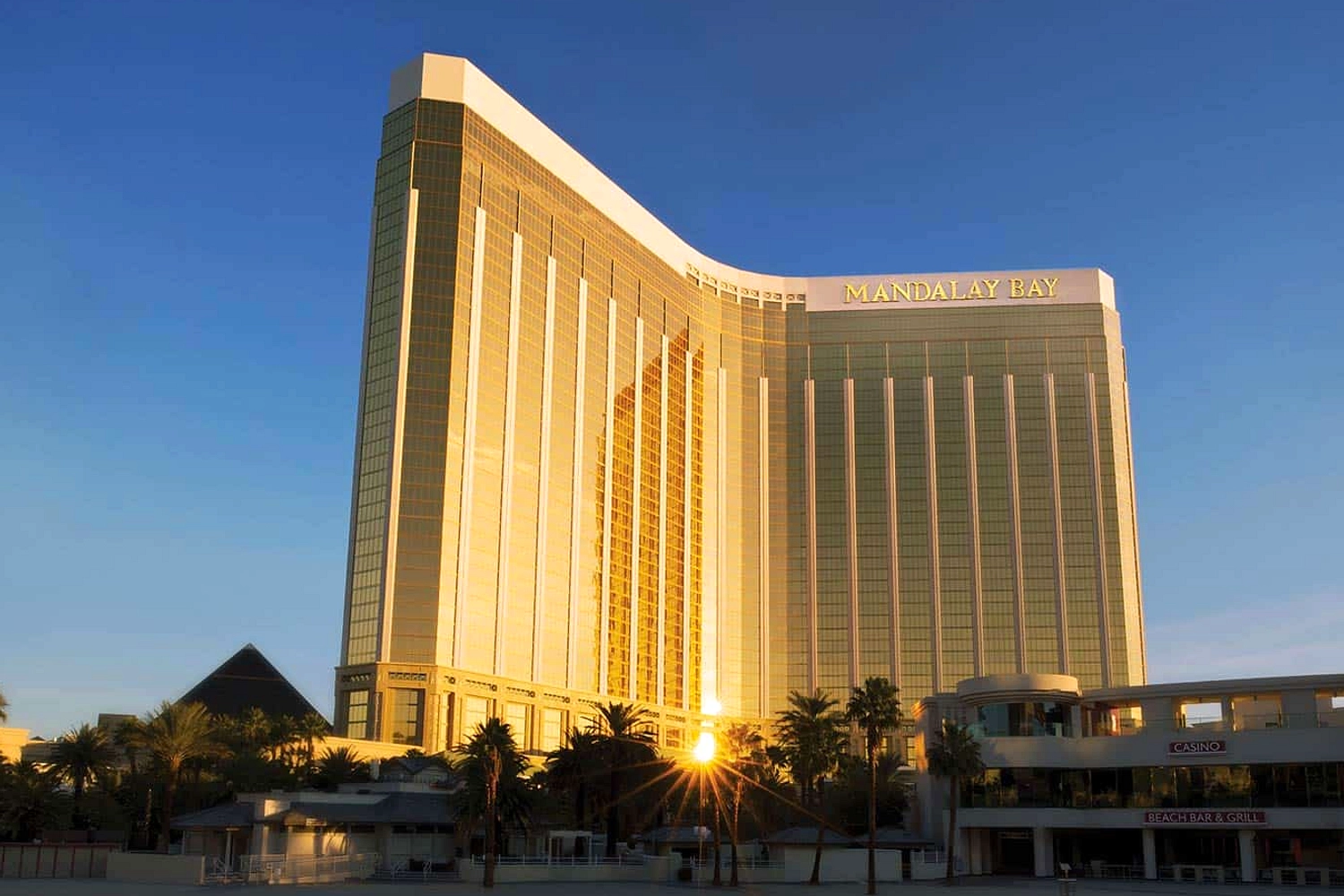 Hiu Mandalay Bay Diberi Makan Lebih Mewah dari Wisatawan