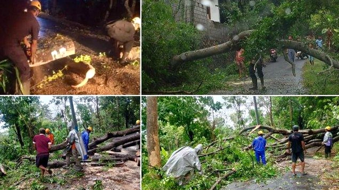 Hujan Deras di Karangasem: Pohon Tumbang, Tembok Jebol