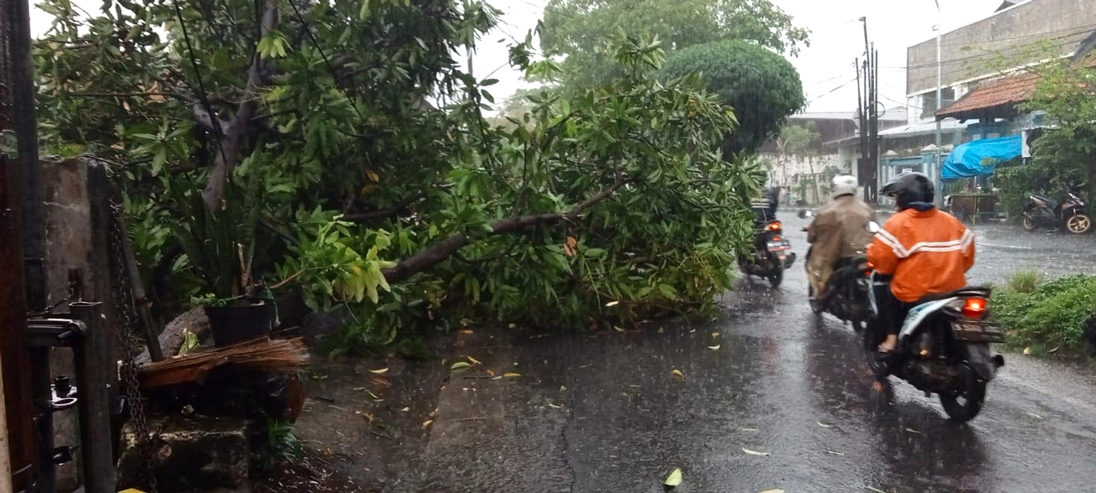 Hujan Surabaya 12 Juni: Musim Kemarau Bukan Tanpa Hujan