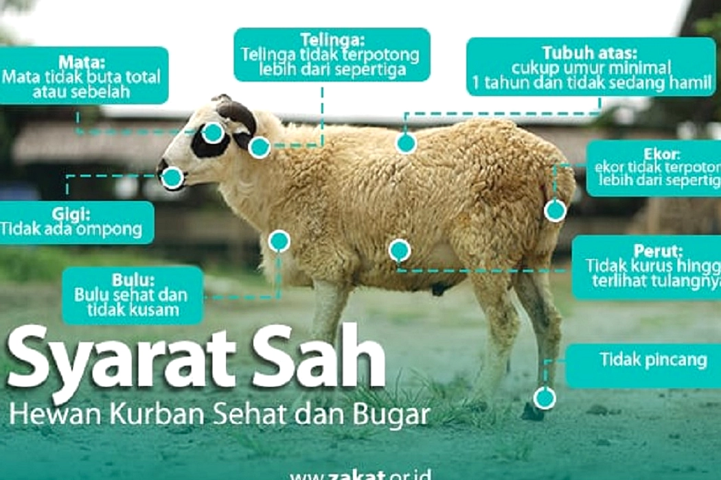 Idul Adha: Panduan Praktis Kurban Sesuai Syariat Islam