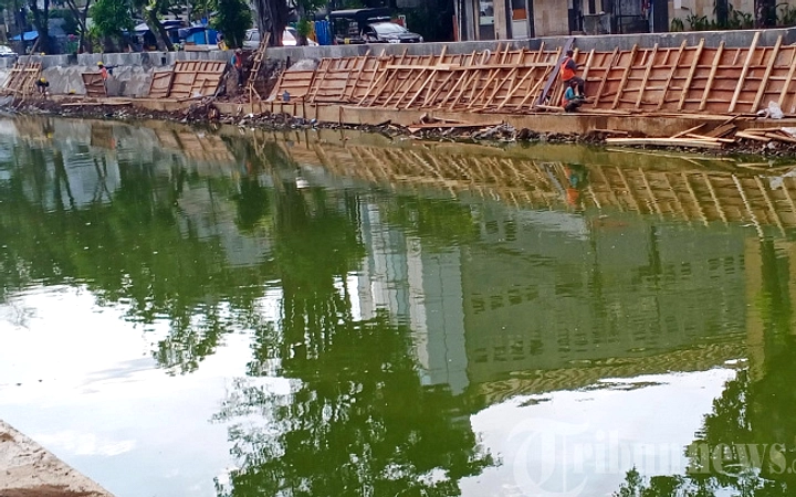Ikan Sapu‑Sapu Berpotensi Berbahaya bagi Kesehatan