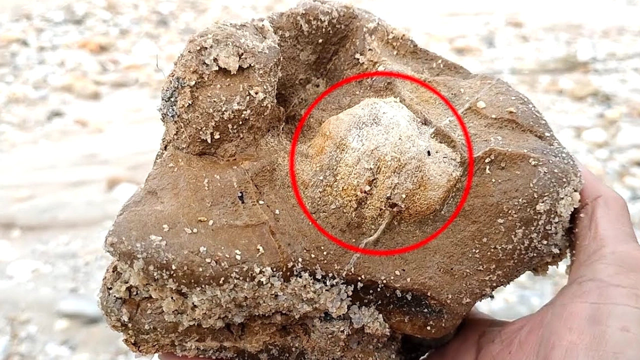 Ilmuwan Temukan Garnet dalam Meteorit Mars di Museum Ontario
